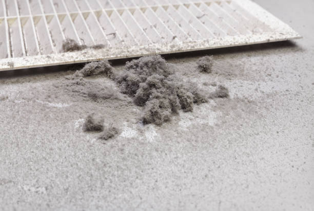 Best HVAC System Cleaning  in Vinton, IA