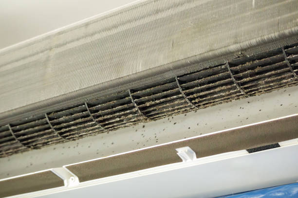 Best General Air Duct Cleaning  in Vinton, IA